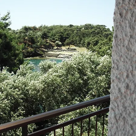 Casa de hóspedes Gorgona *
