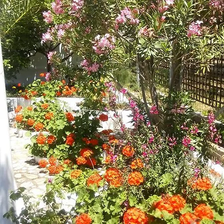 بيت ضيافة Gorgona 3*