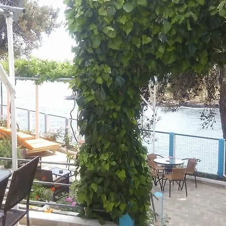 Gorgona