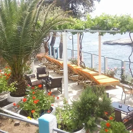 Gorgona بيت ضيافة