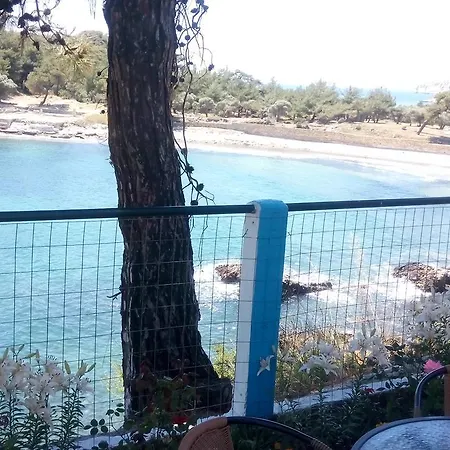 Gorgona
