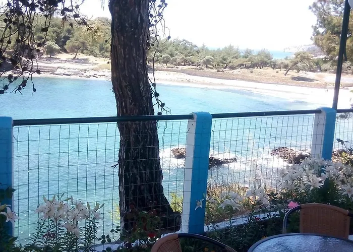 Gorgona